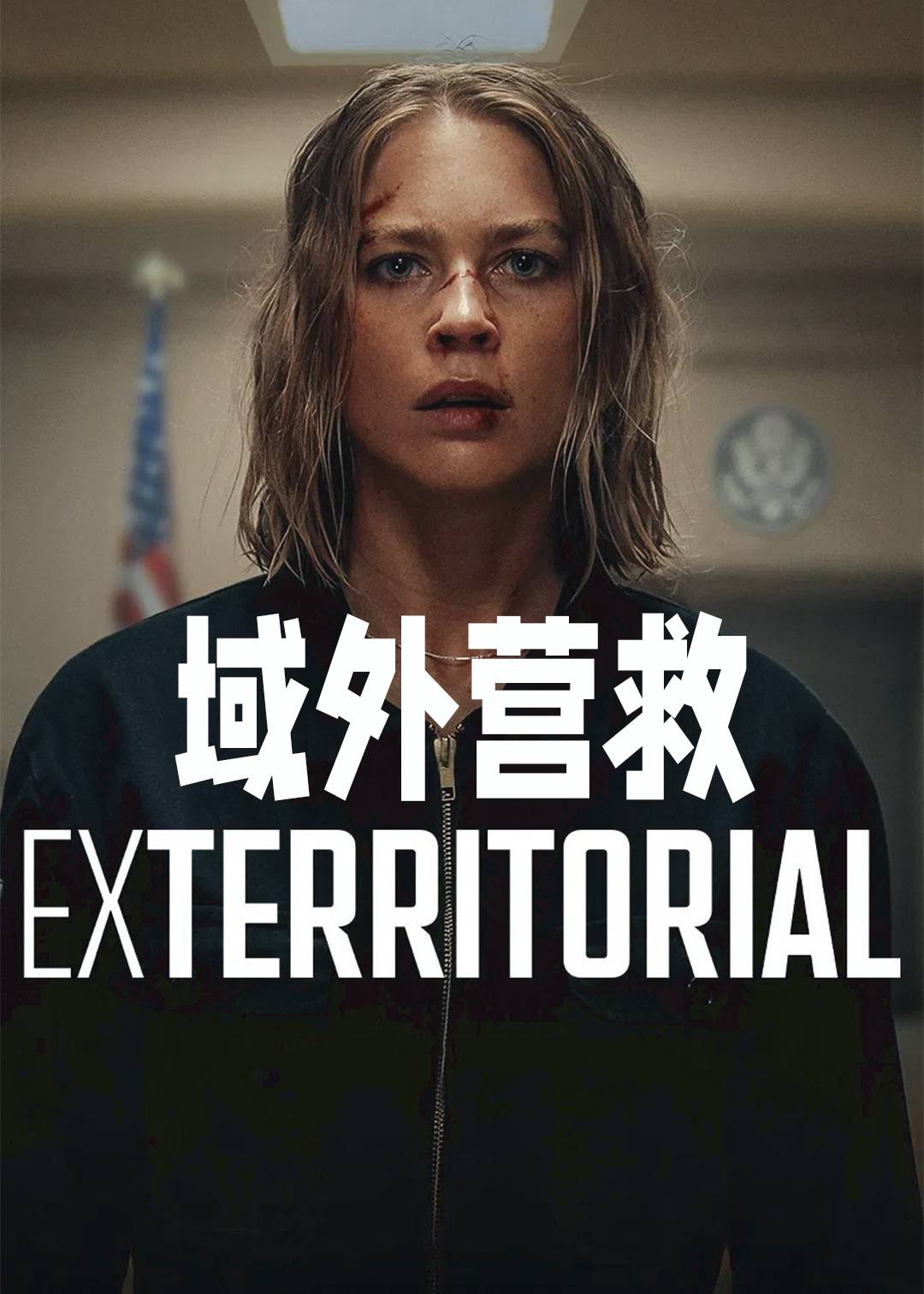 域外营救封面图
