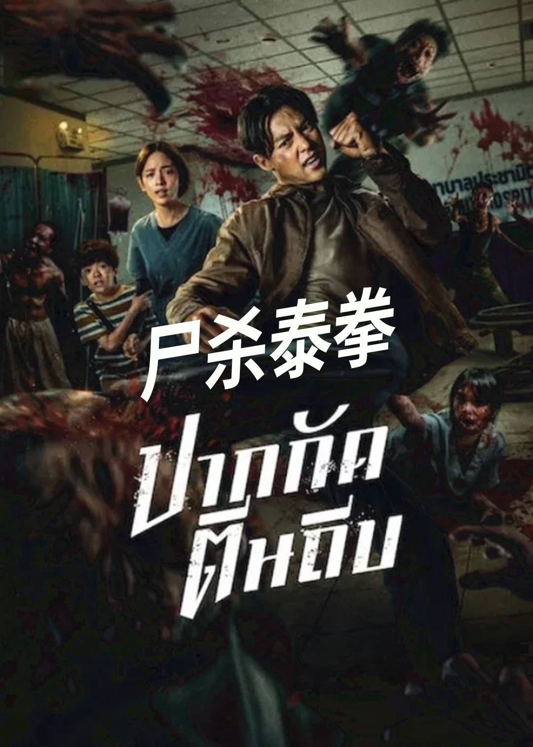 尸杀泰拳