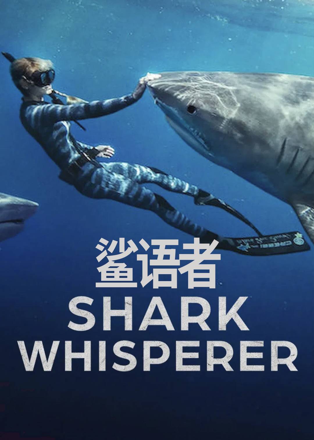 鲨语者