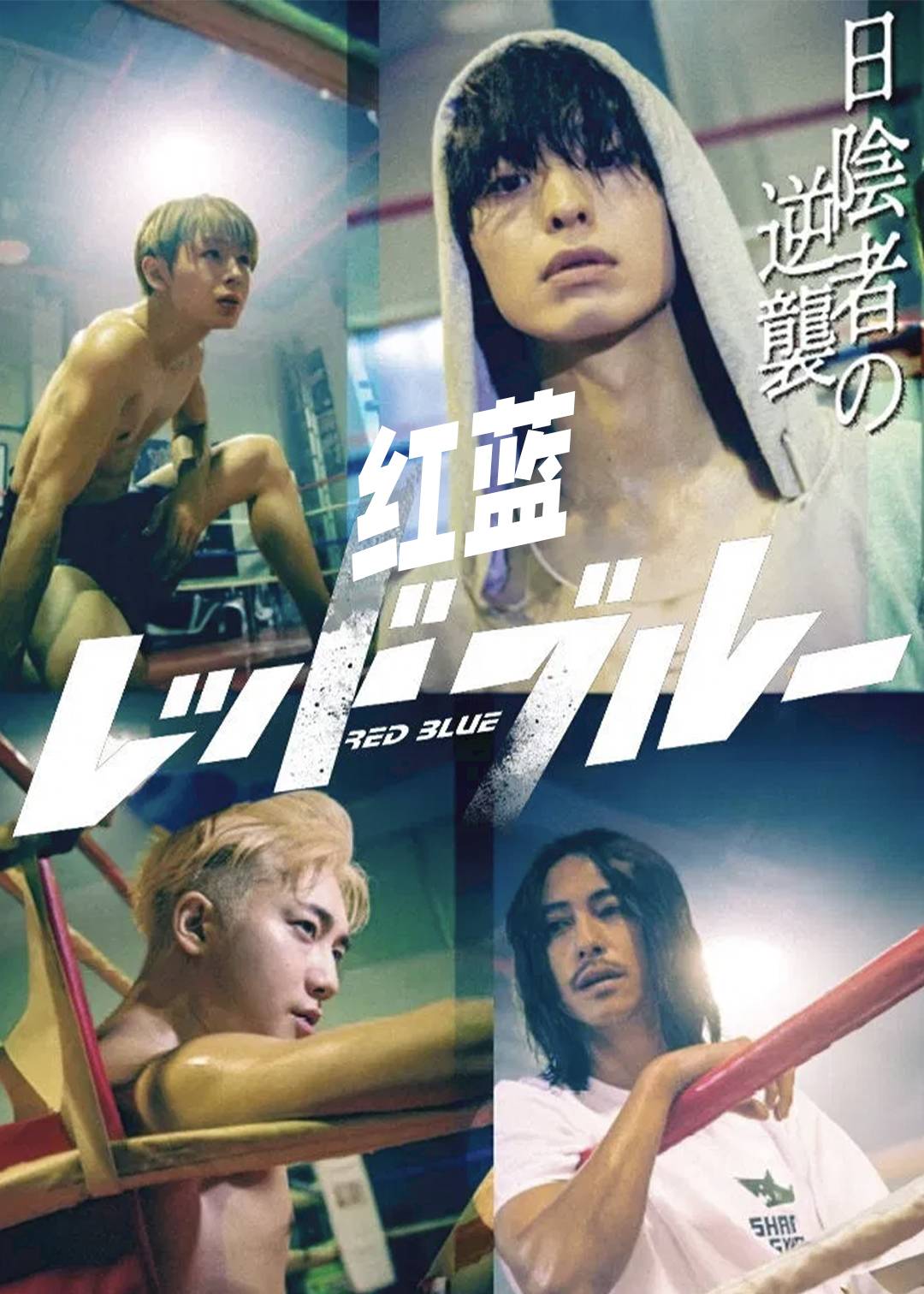 红蓝