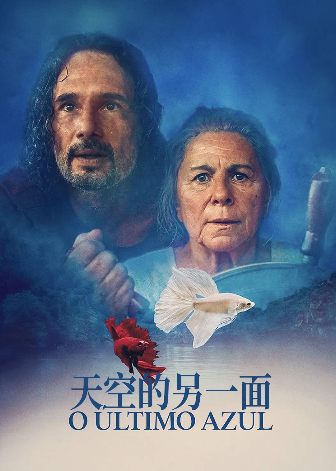 天空的另一面