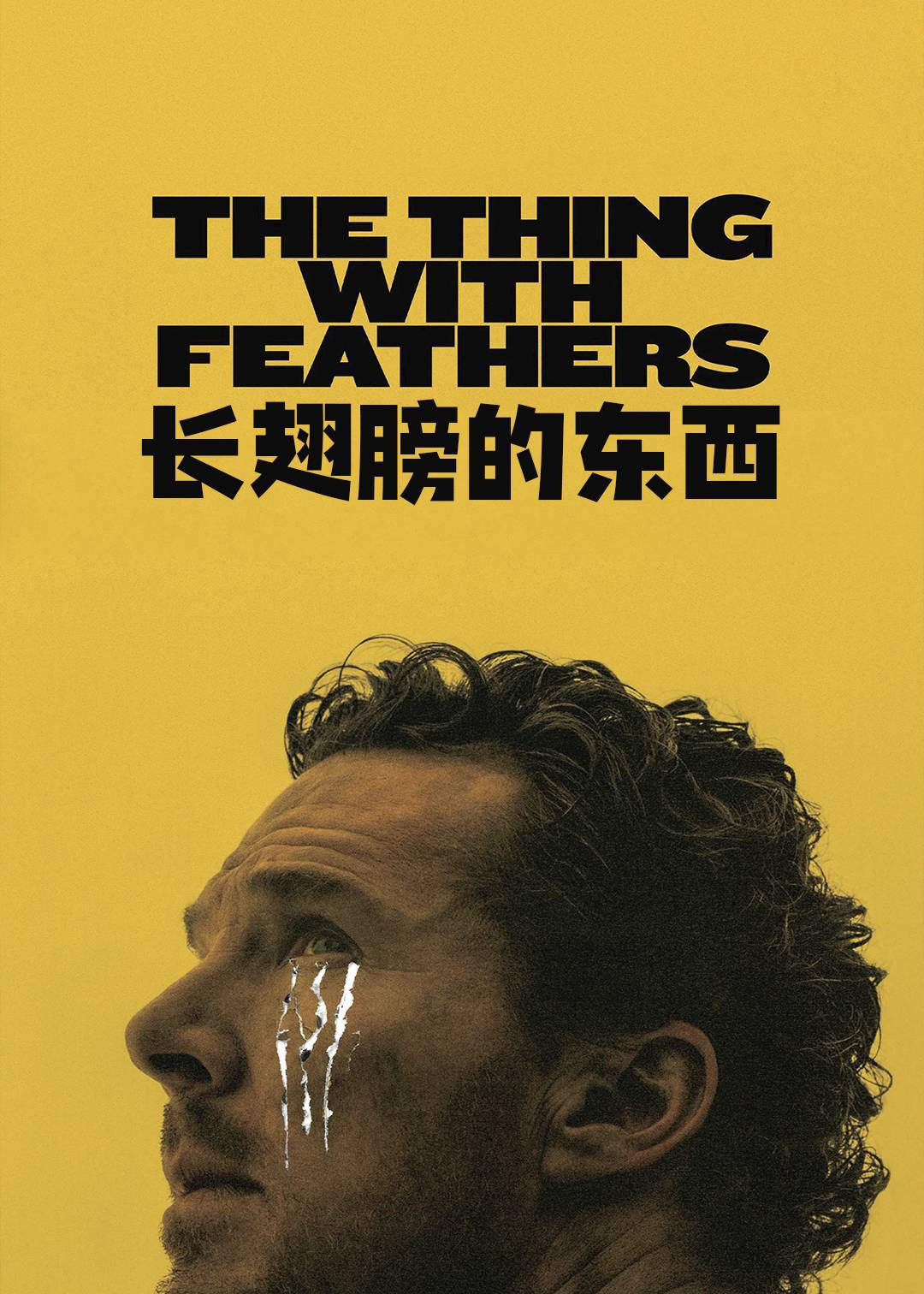 长翅膀的东西