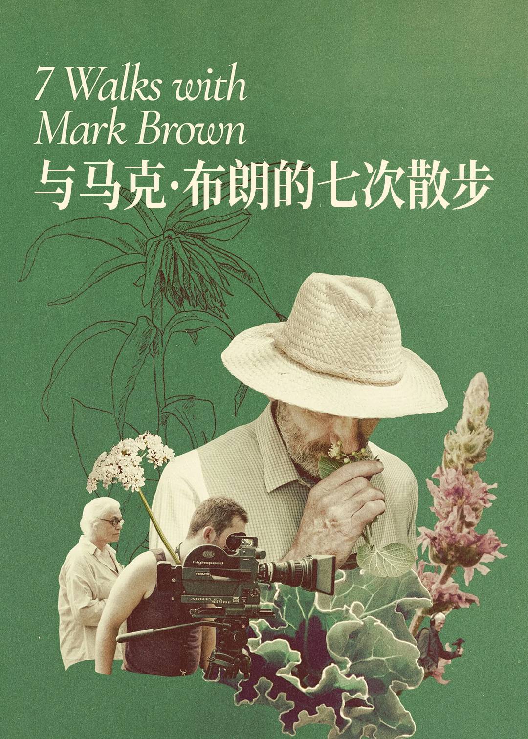 与马克布朗的七次散步封面图