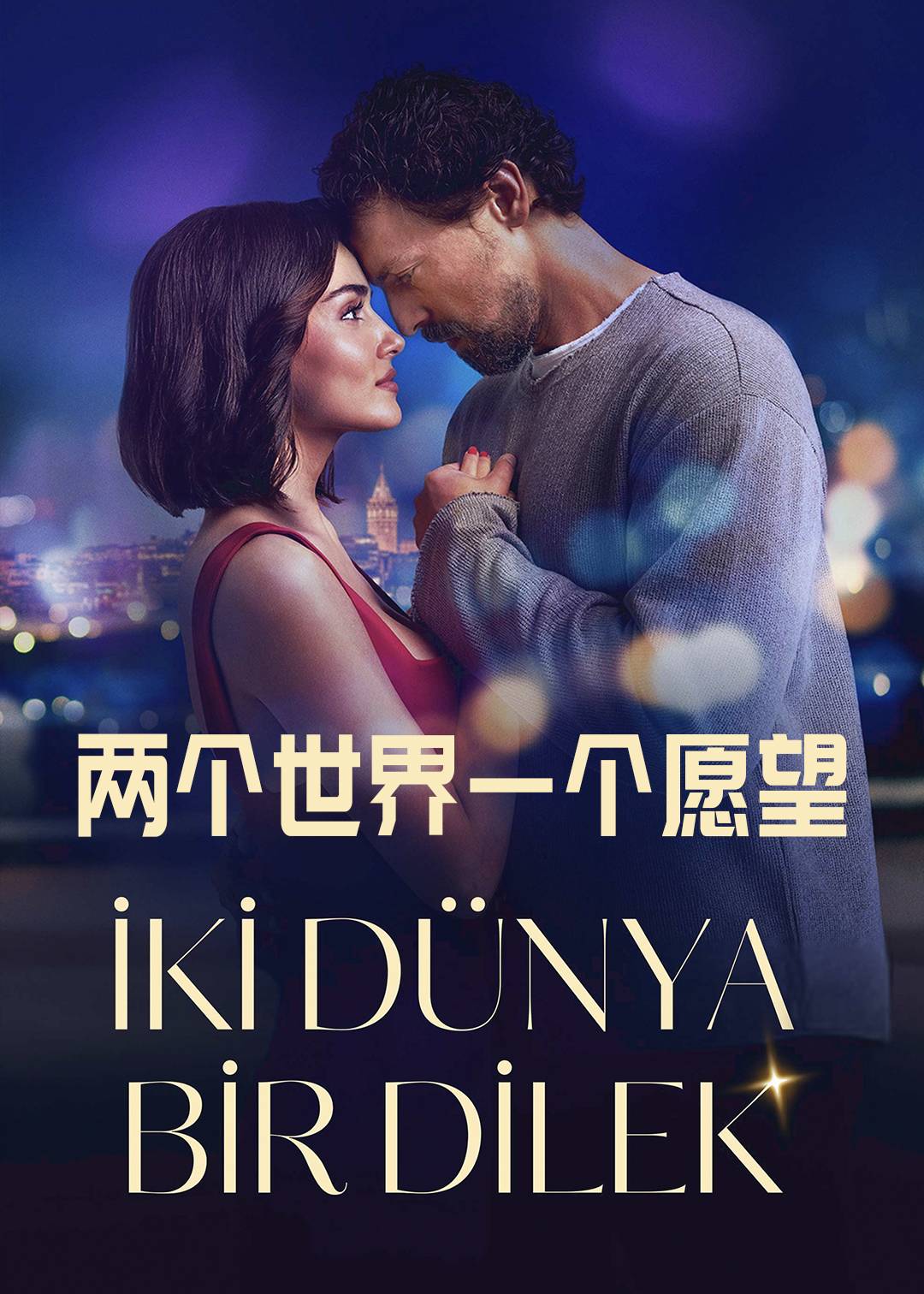 两个世界一个愿望封面图