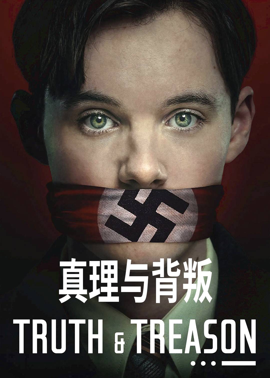 真理与背叛封面图