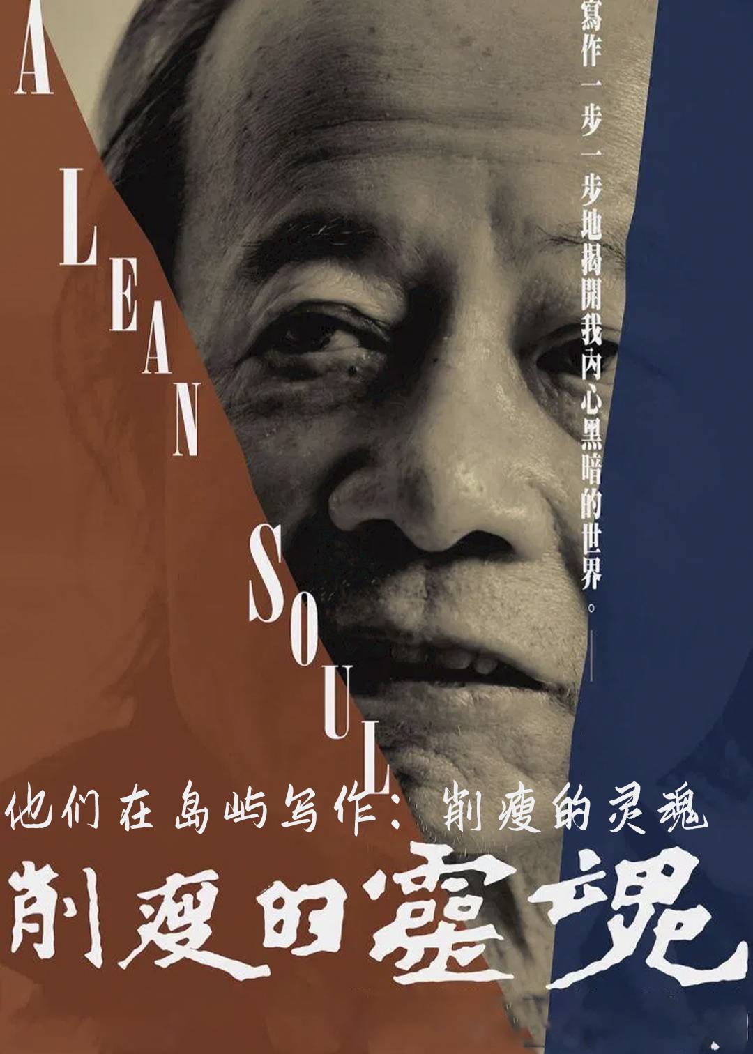 他们在岛屿写作：削瘦的灵魂封面图