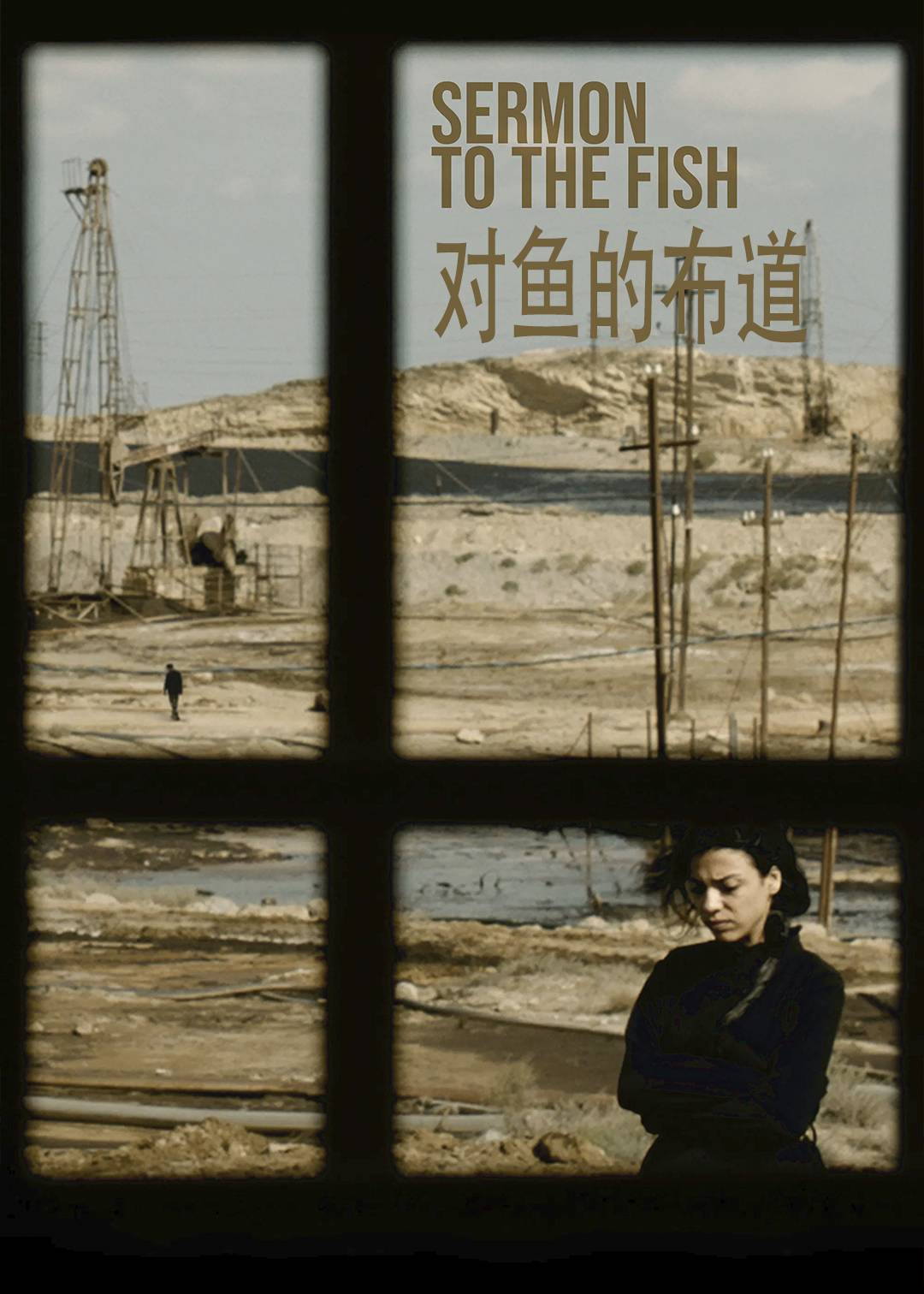 对鱼的布道封面图