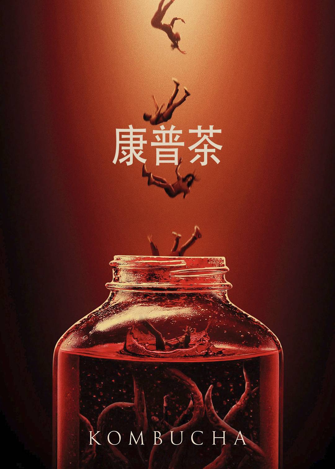 康普茶封面图