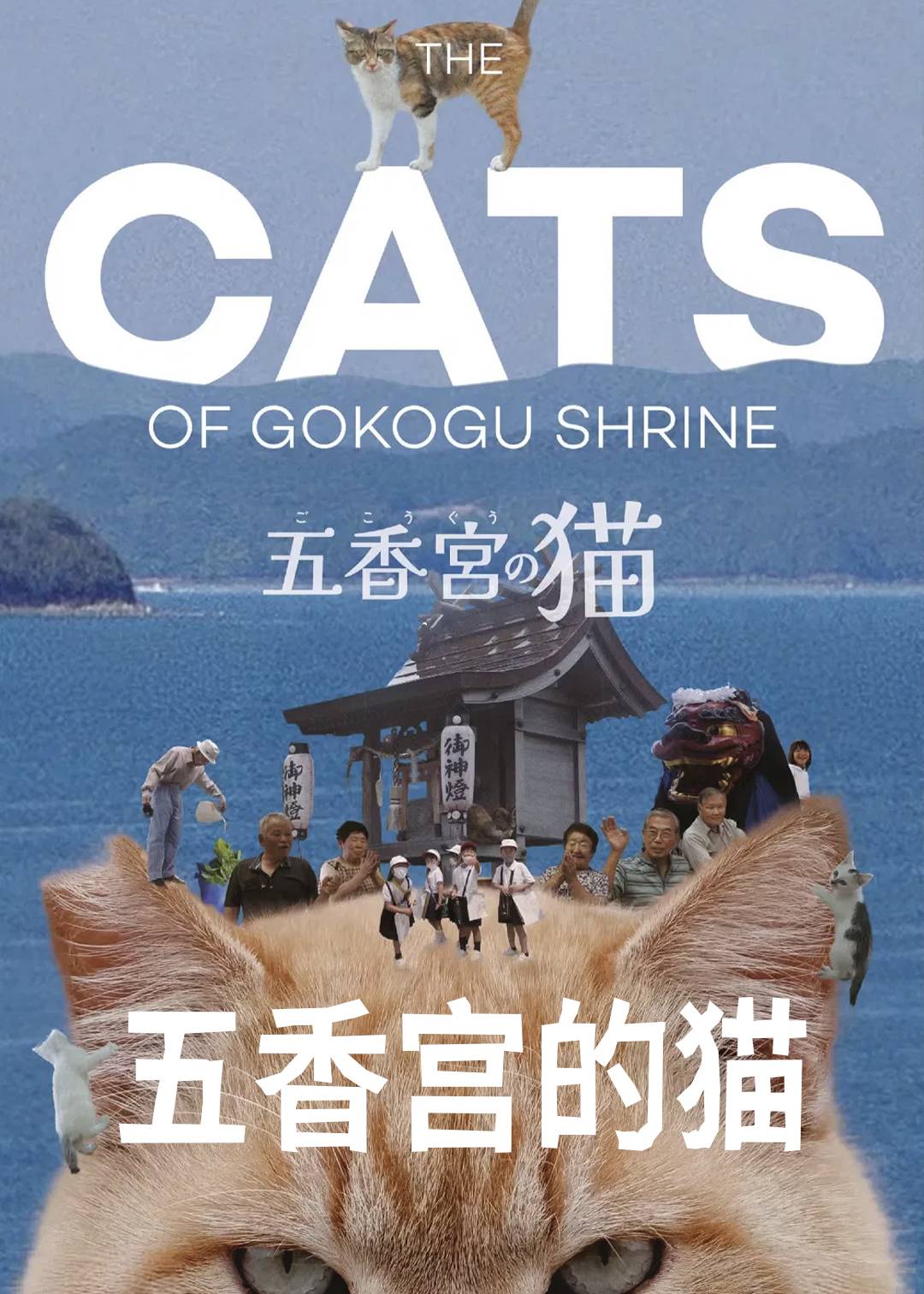 五香宫的猫封面图