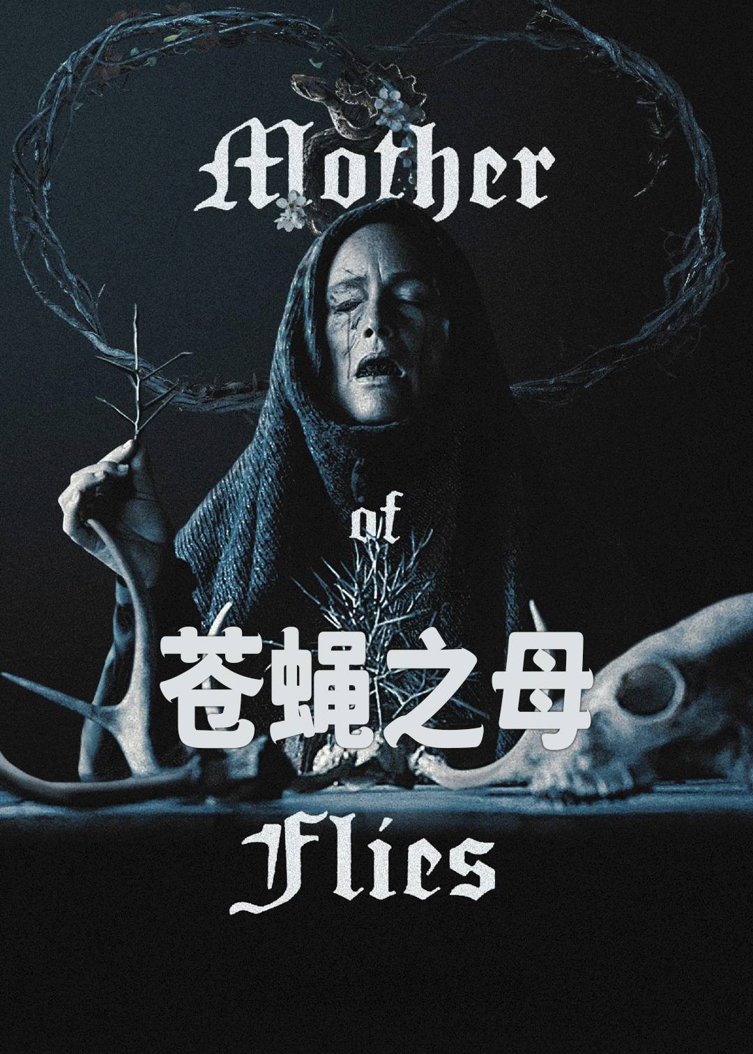 苍蝇之母封面图