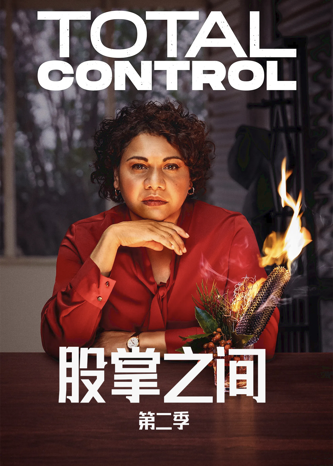 股掌之间第二季