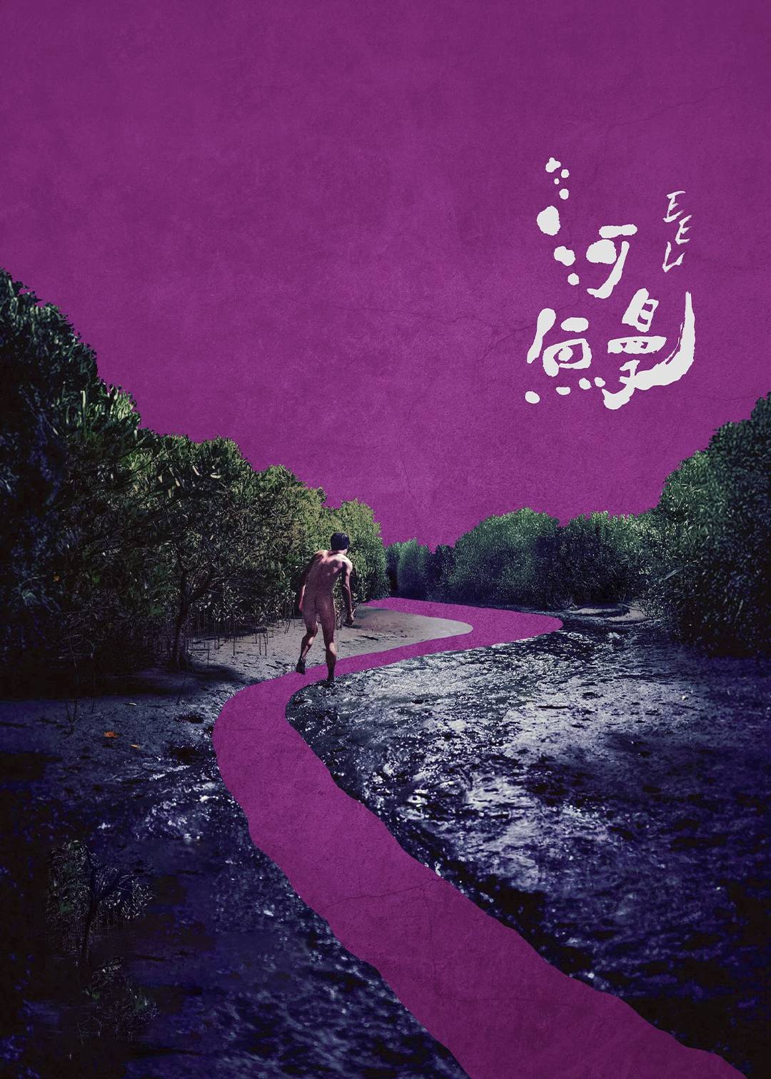 河鳗封面图