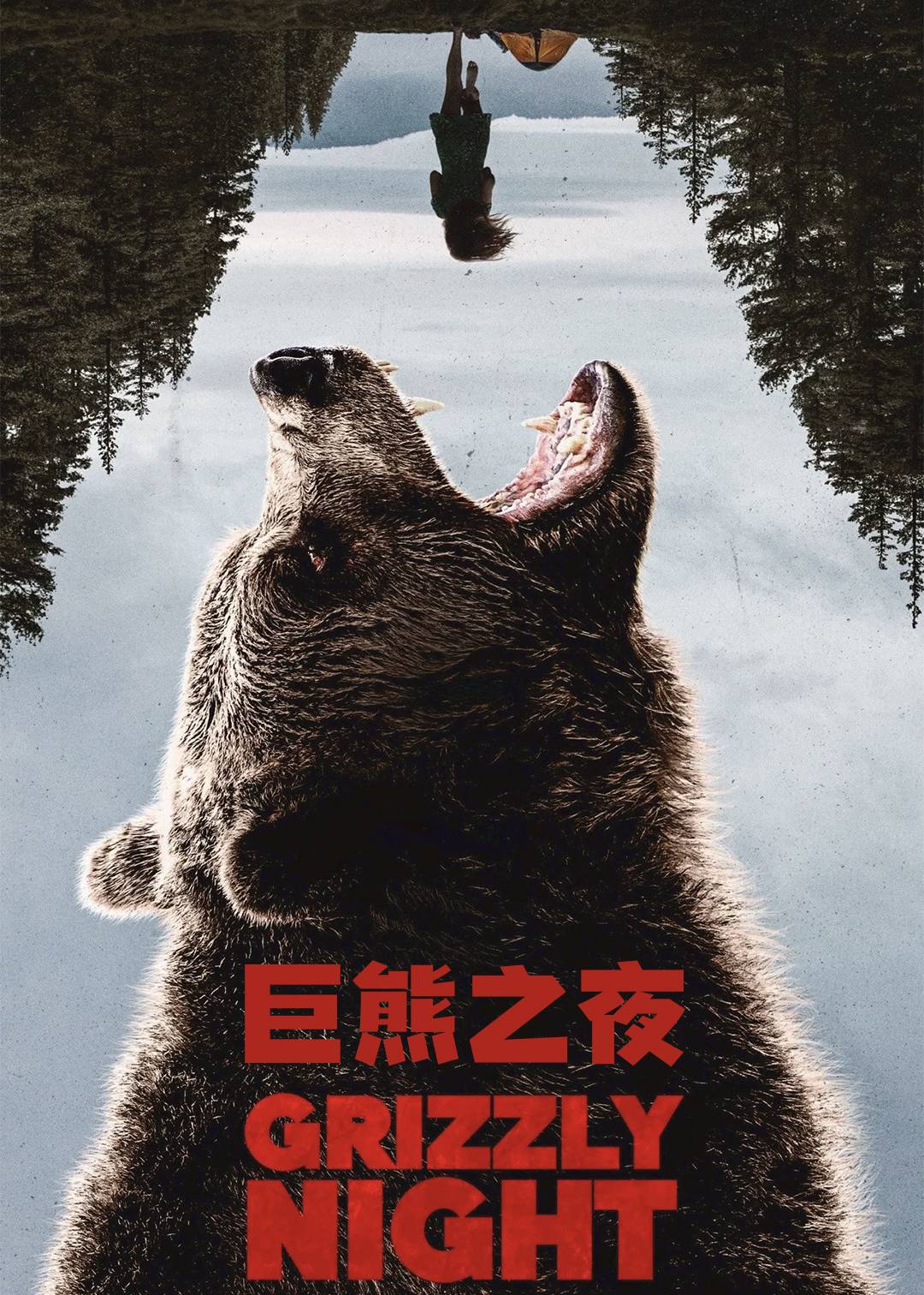巨熊之夜