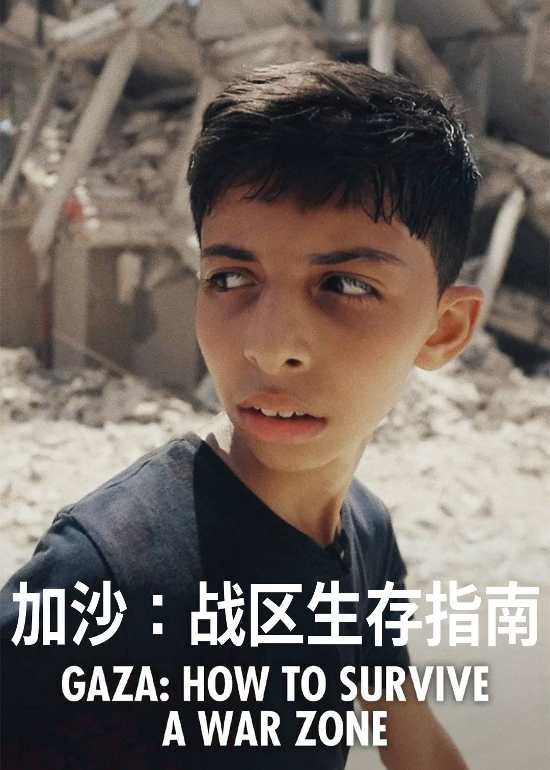 加沙：战区生存指南封面图