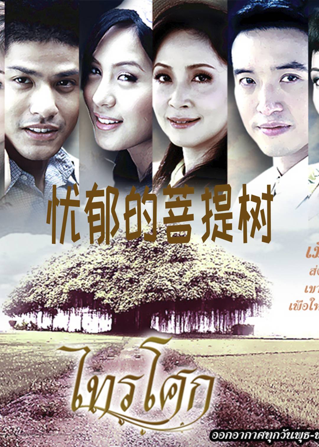忧郁的菩提树