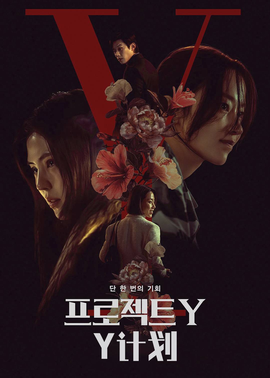 Y计划