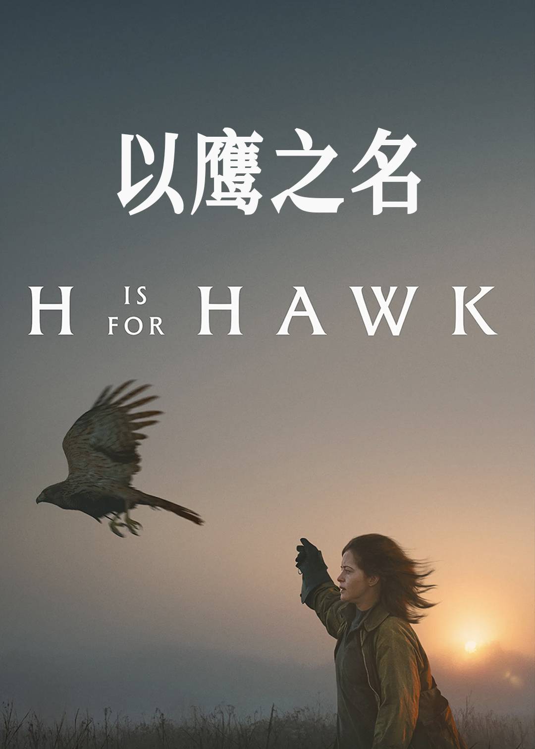 以鹰之名