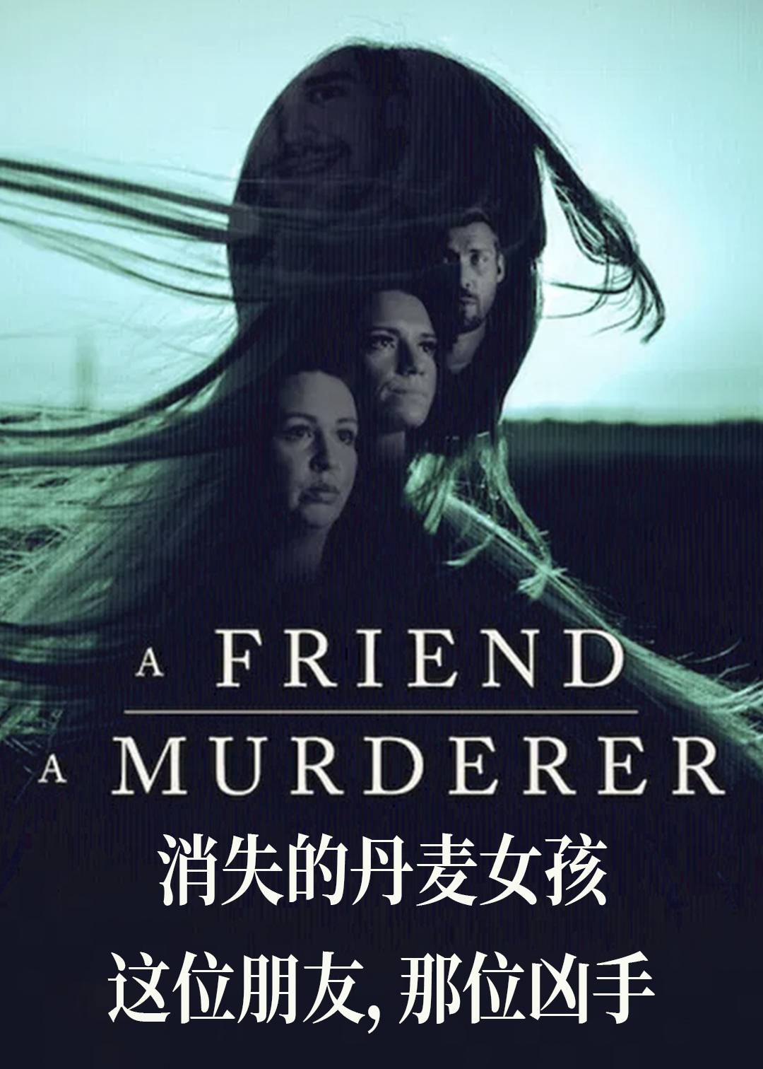 消失的丹麦女孩：这位朋友，那位凶手封面图