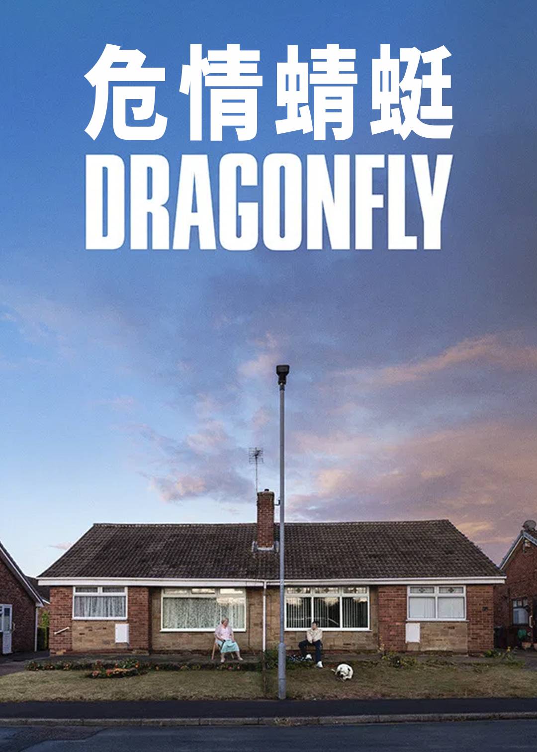 危情蜻蜓封面图