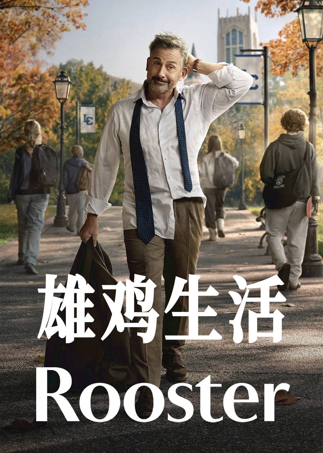 雄鸡生活