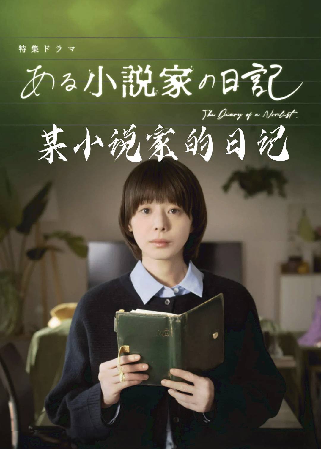 某小说家的日记