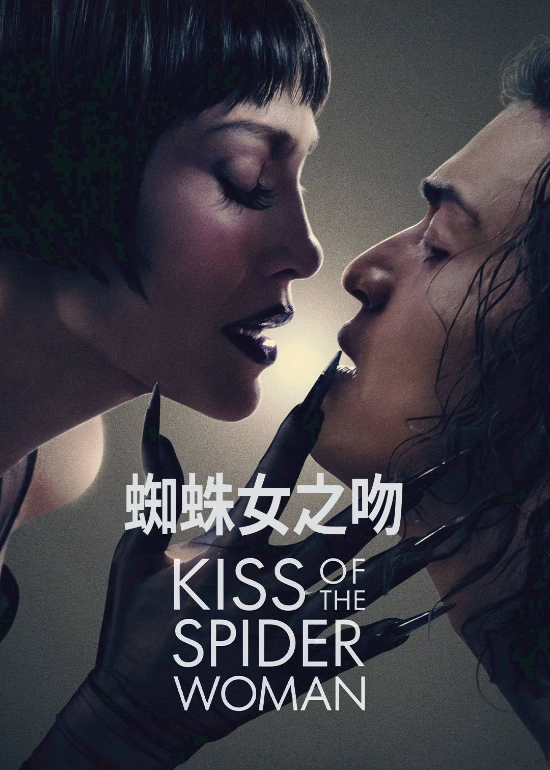 蜘蛛女之吻封面图