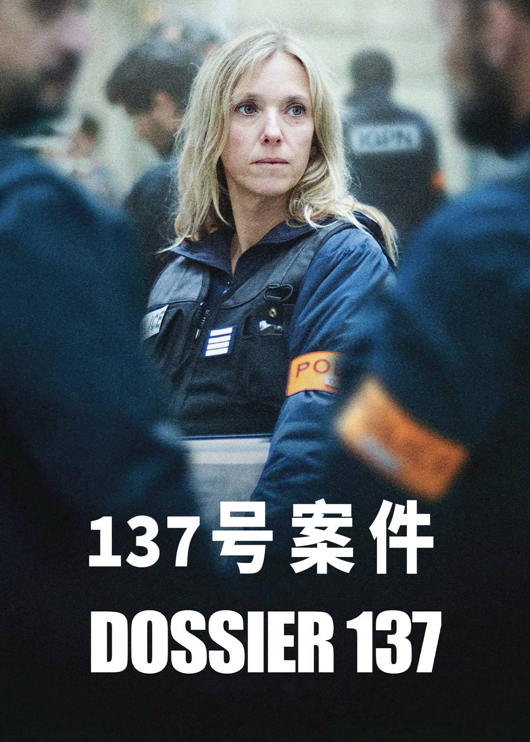 137号案件封面图