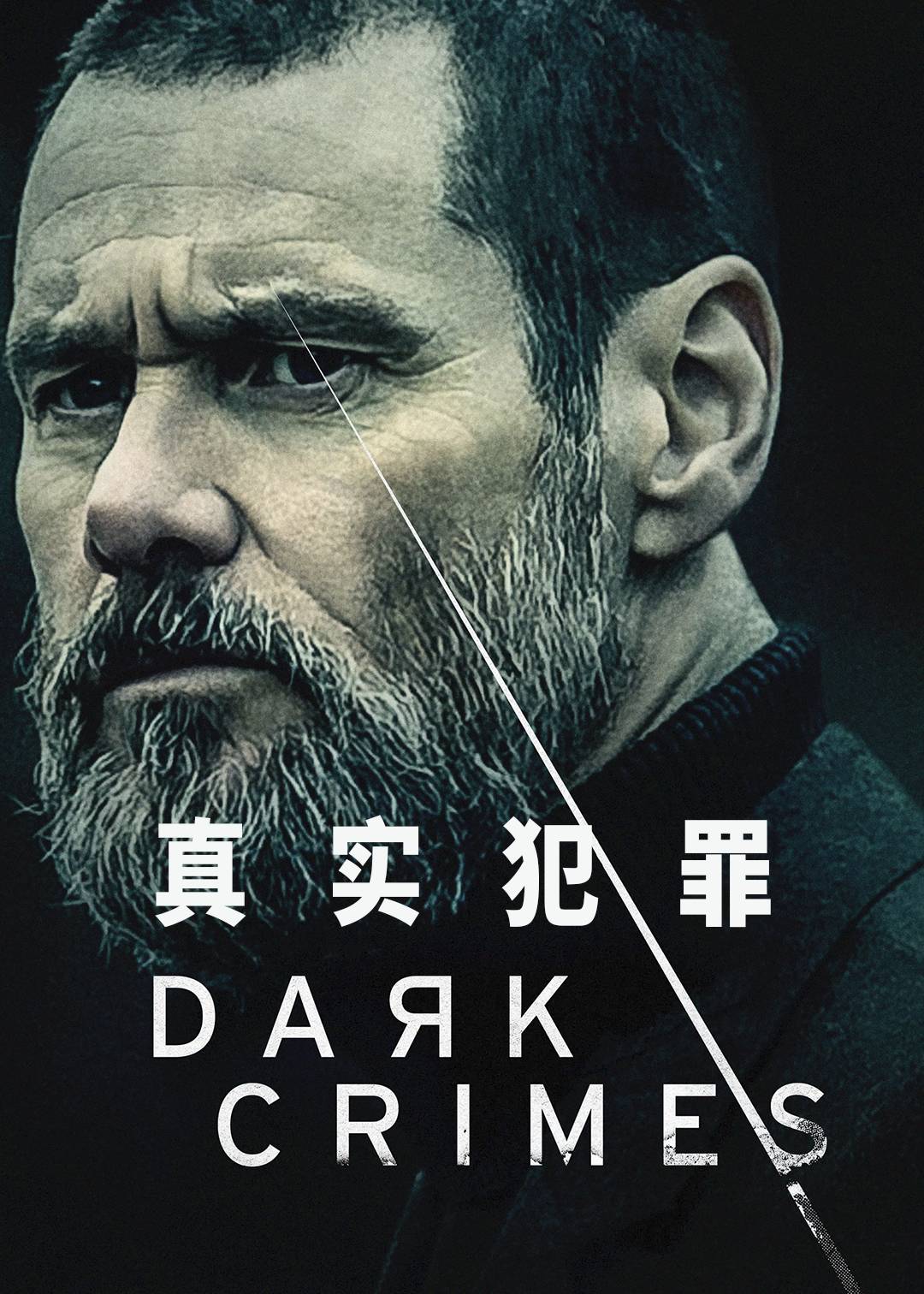 真实犯罪