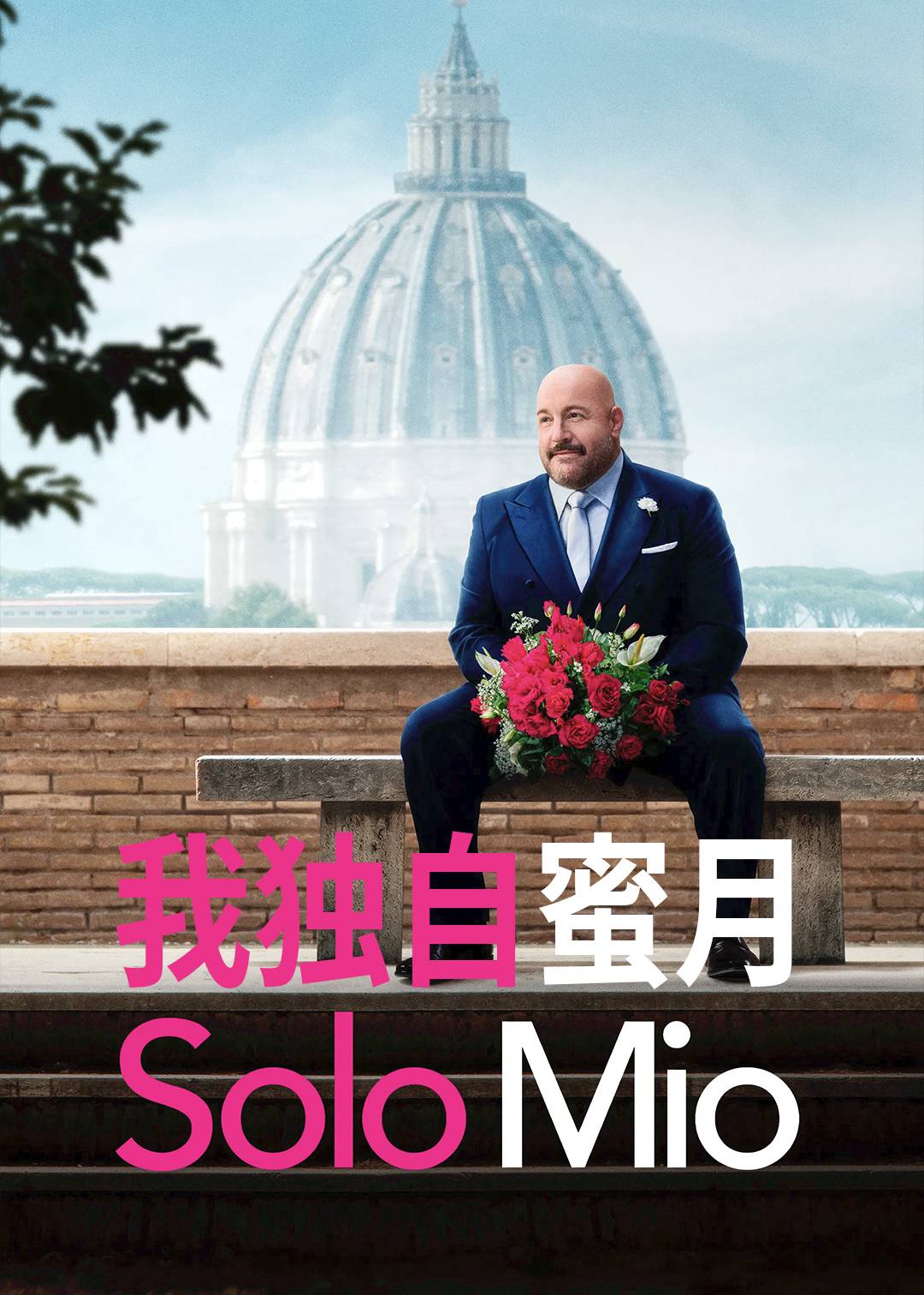 我独自蜜月封面图