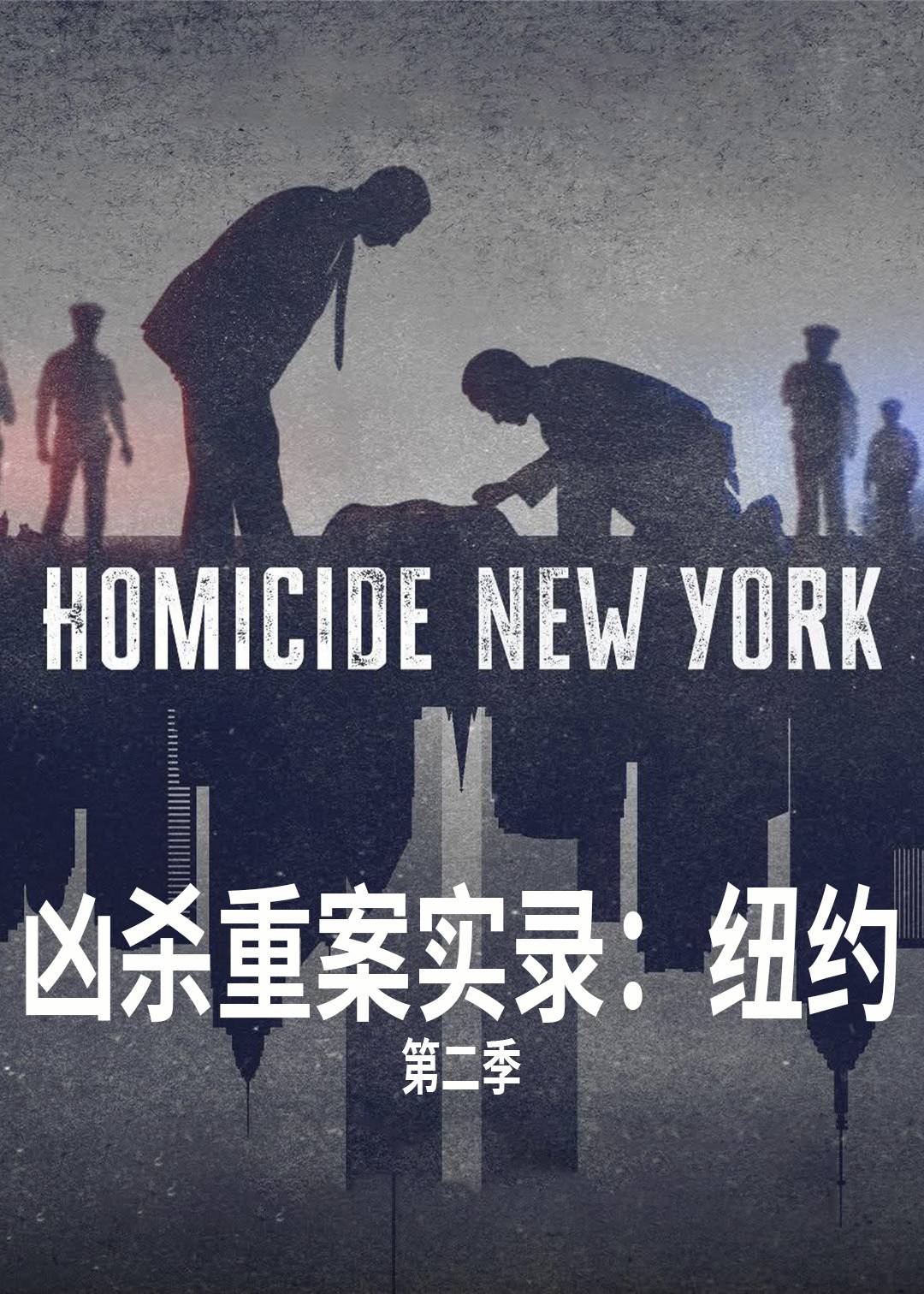 凶杀重案实录(纽约)第二季封面图