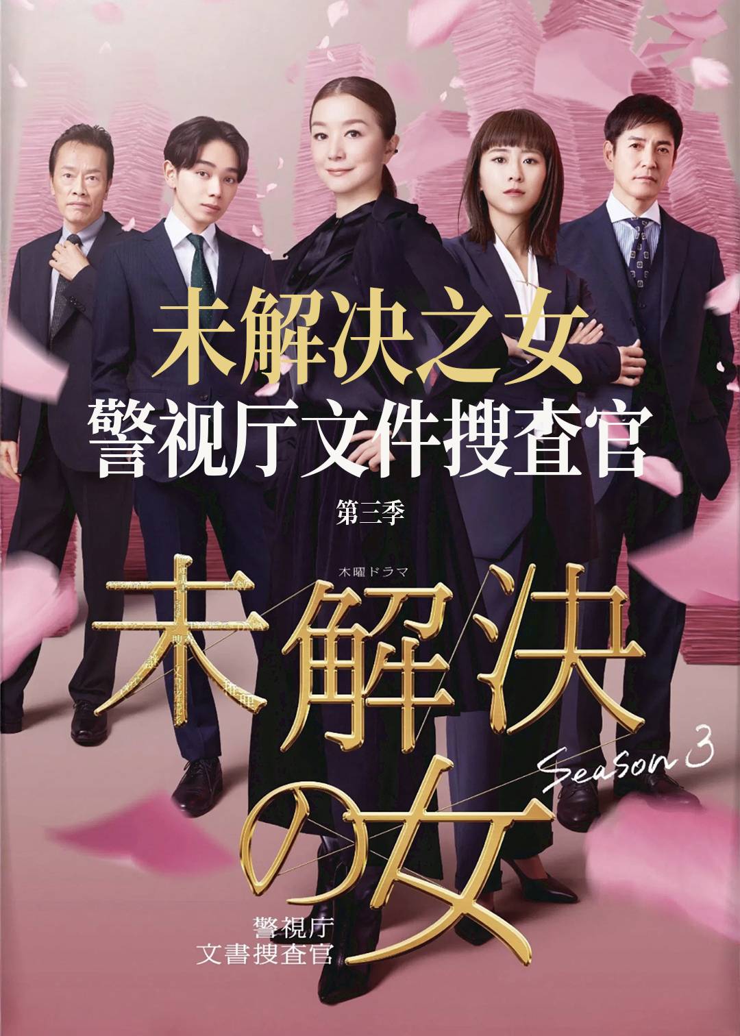 未解决之女 警视厅文件捜査官第三季