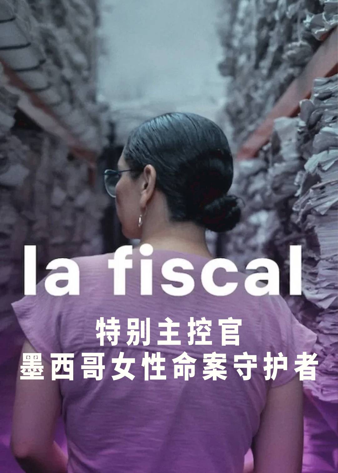 特别主控官：墨西哥女性命案守护者封面图