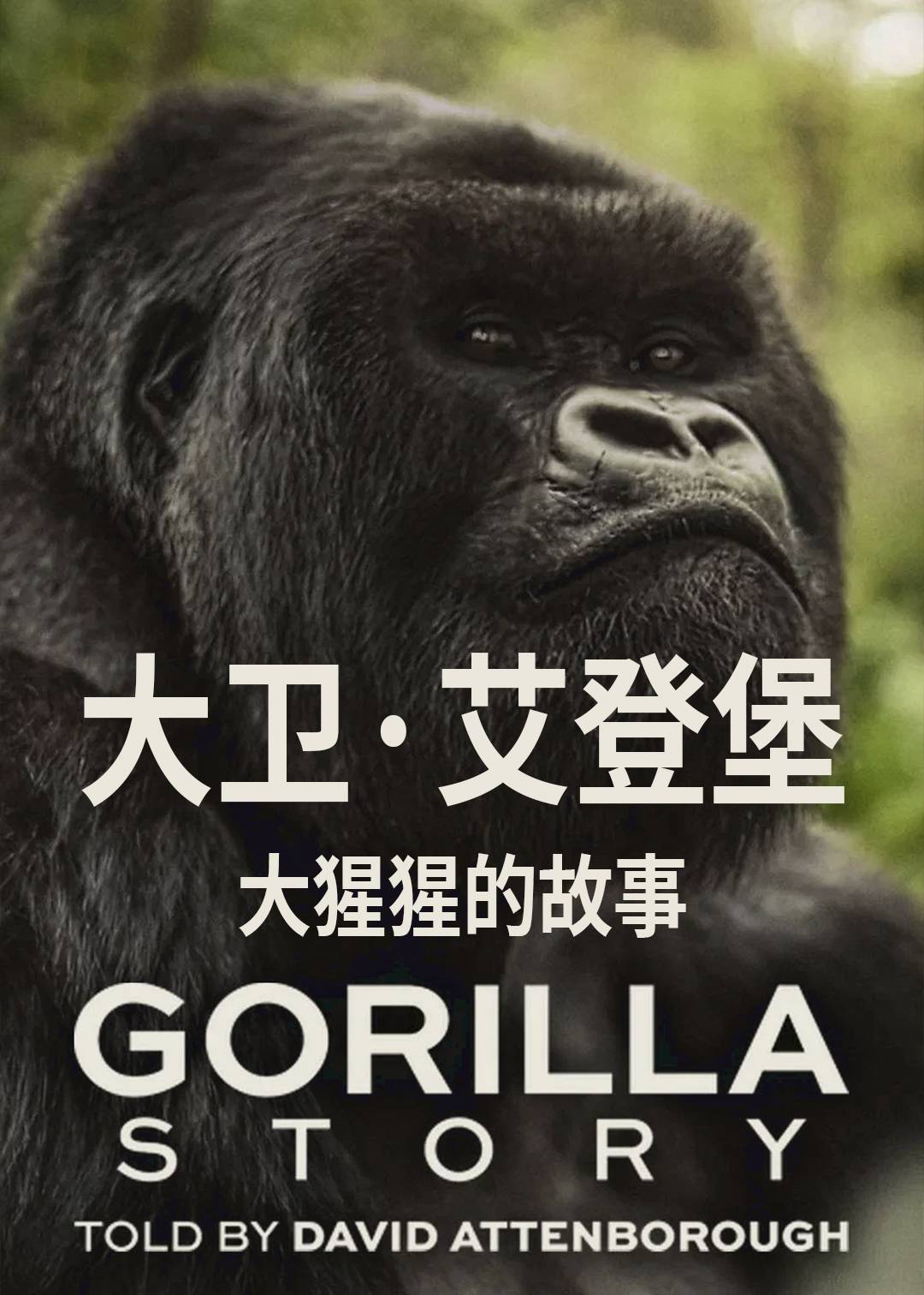 大卫艾登堡：大猩猩的故事封面图