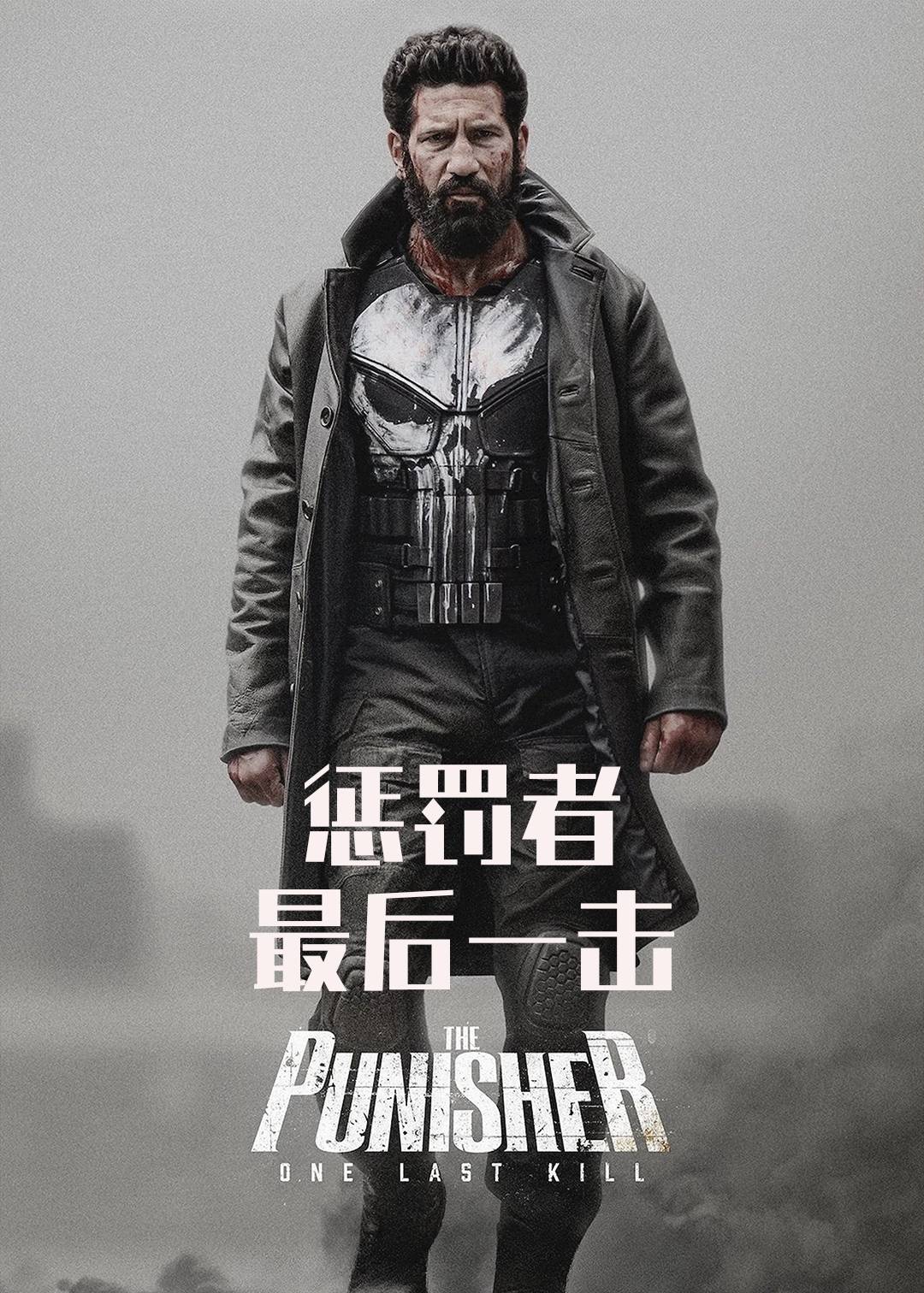 惩罚者：最后一击封面图