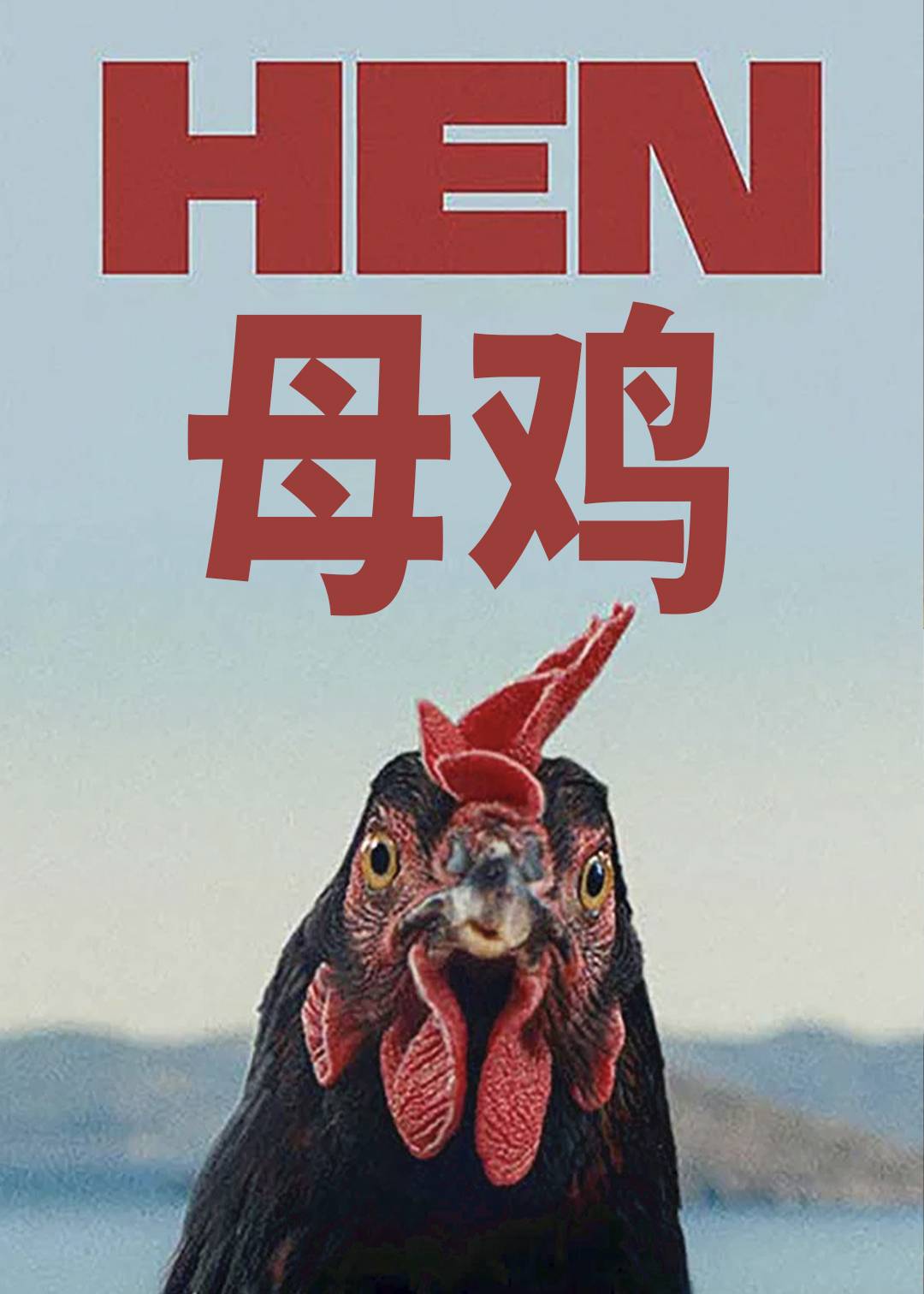 母鸡封面图