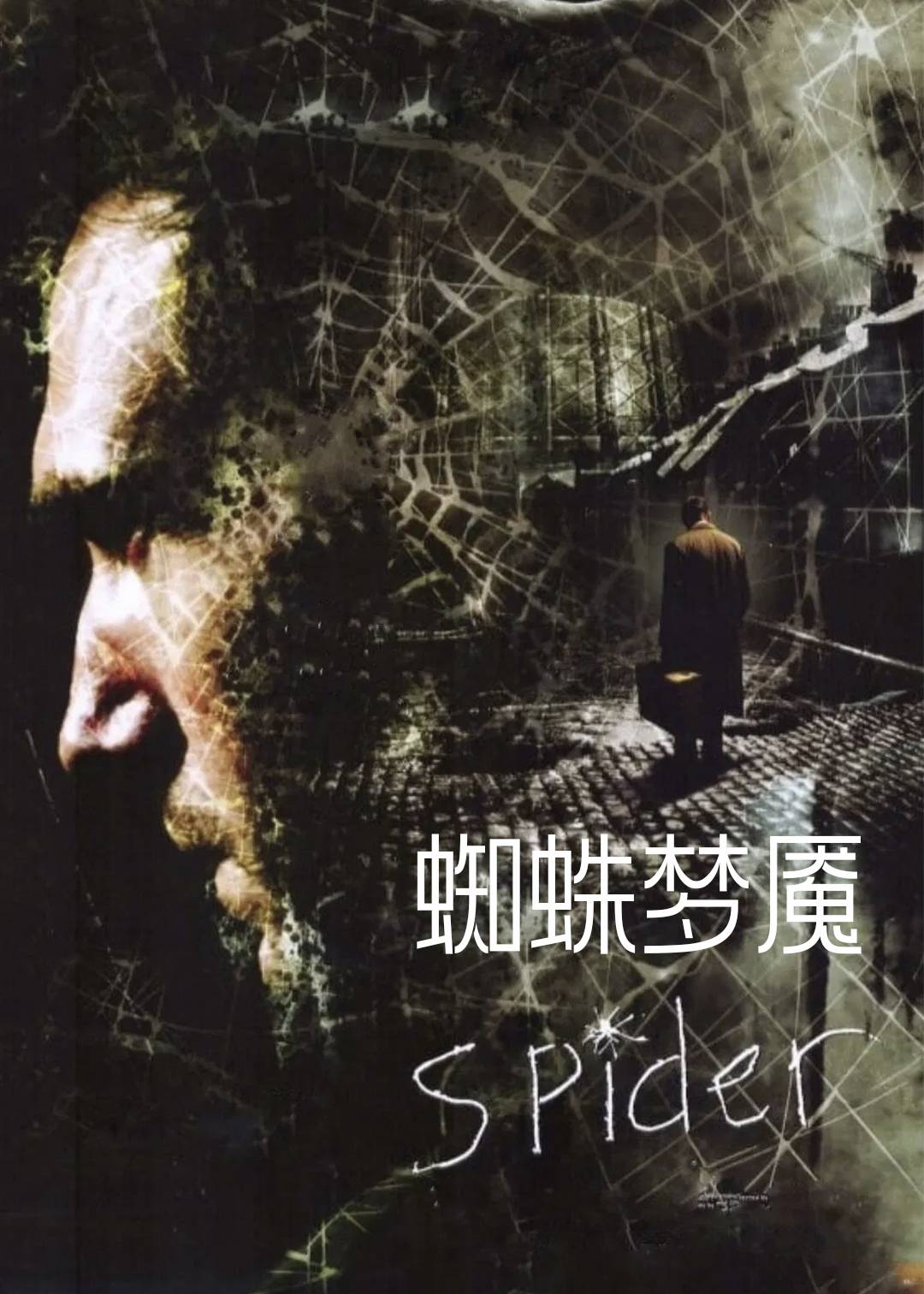 蜘蛛梦魇封面图