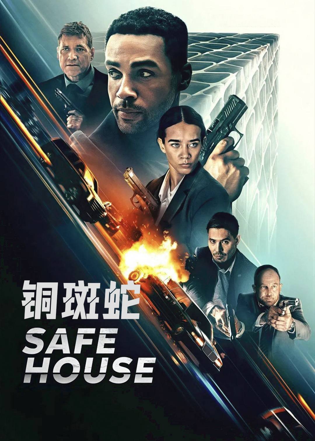 铜斑蛇封面图