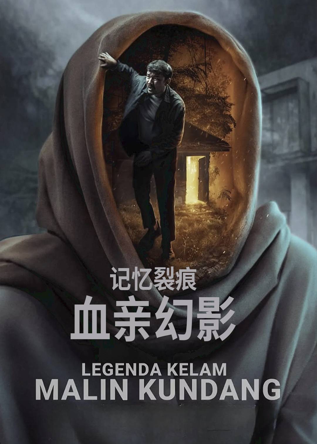 记忆裂痕：血亲幻影封面图