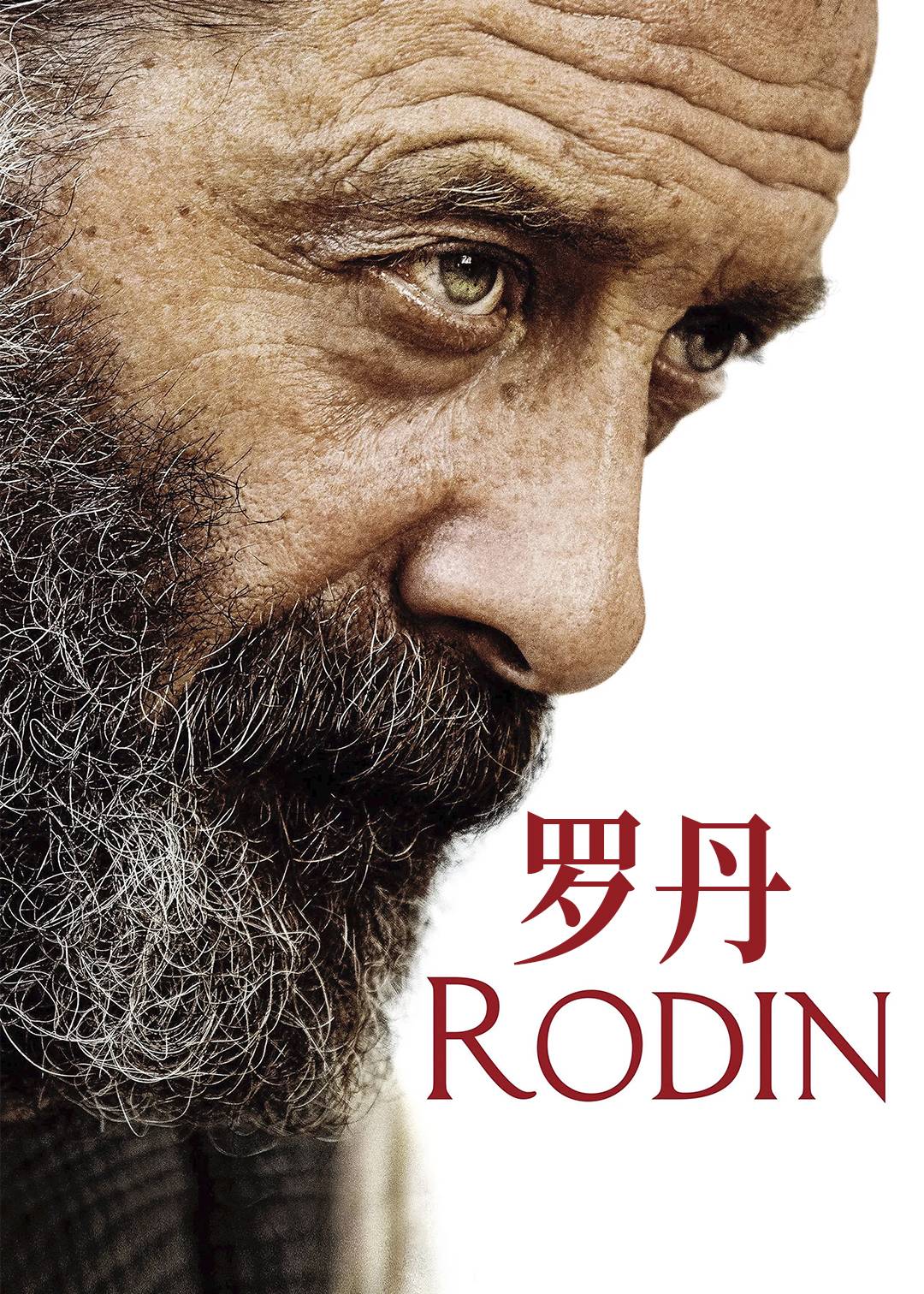 罗丹封面图
