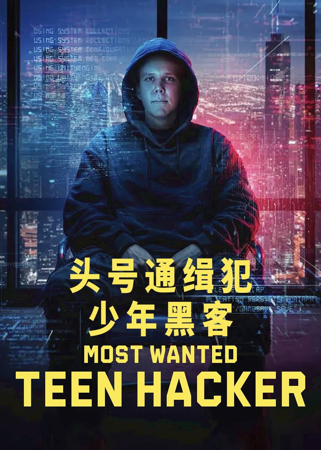 头号通缉犯：少年黑客封面图