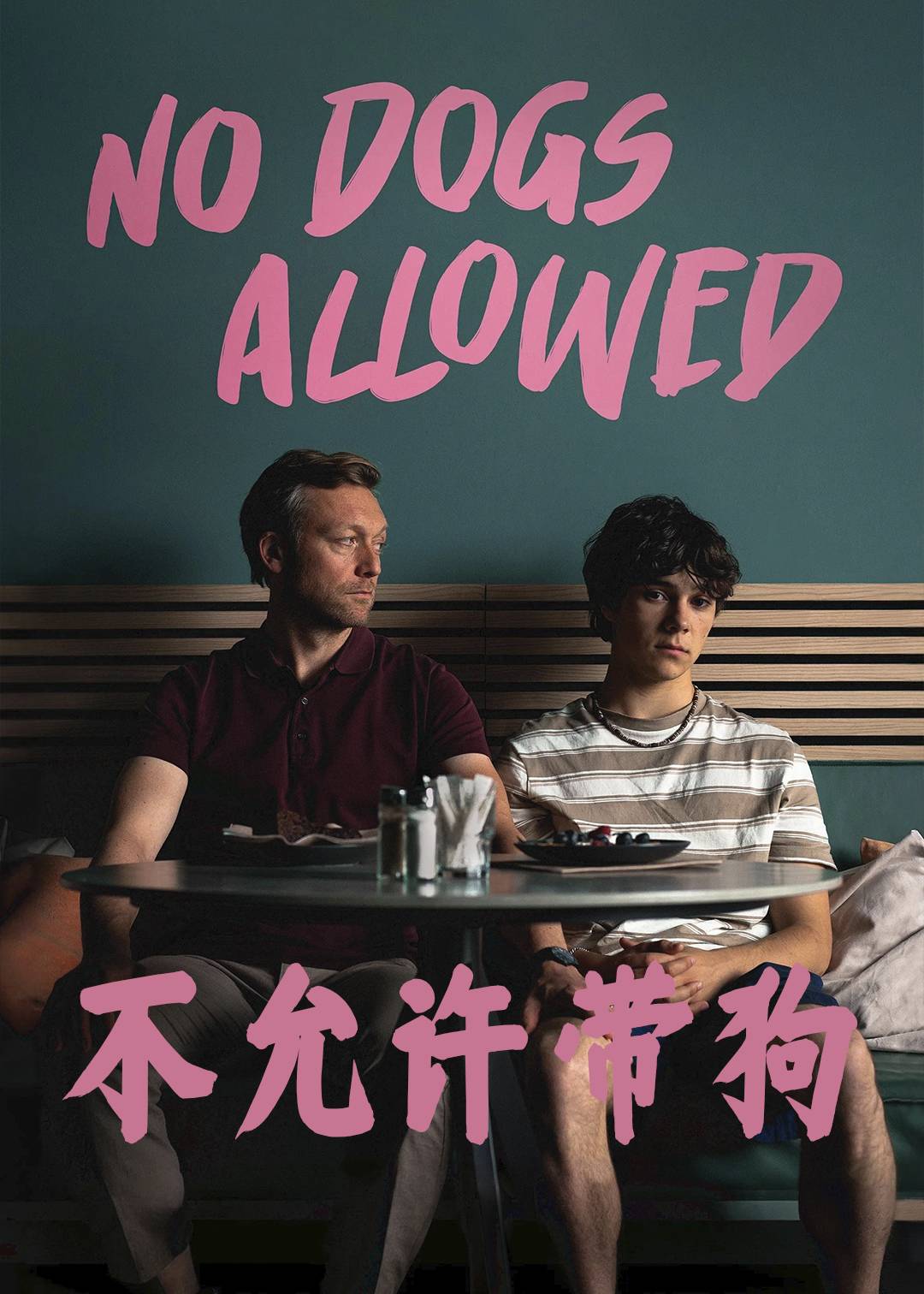 不允许带狗封面图