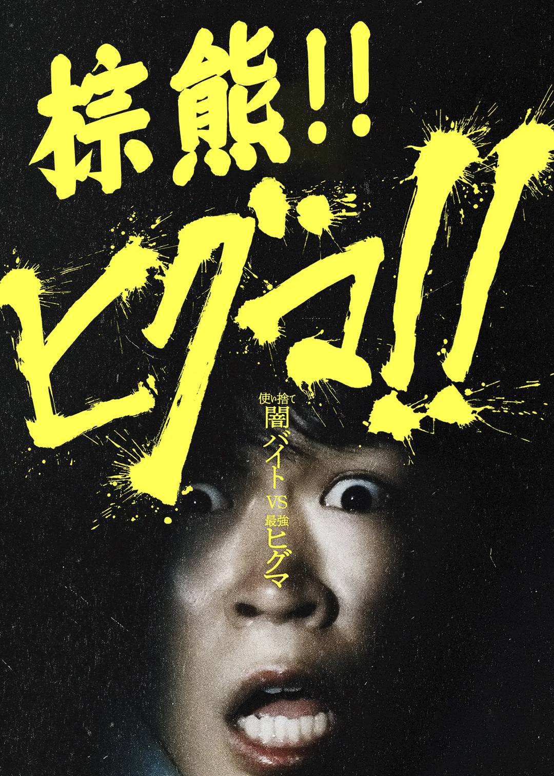 棕熊！！封面图