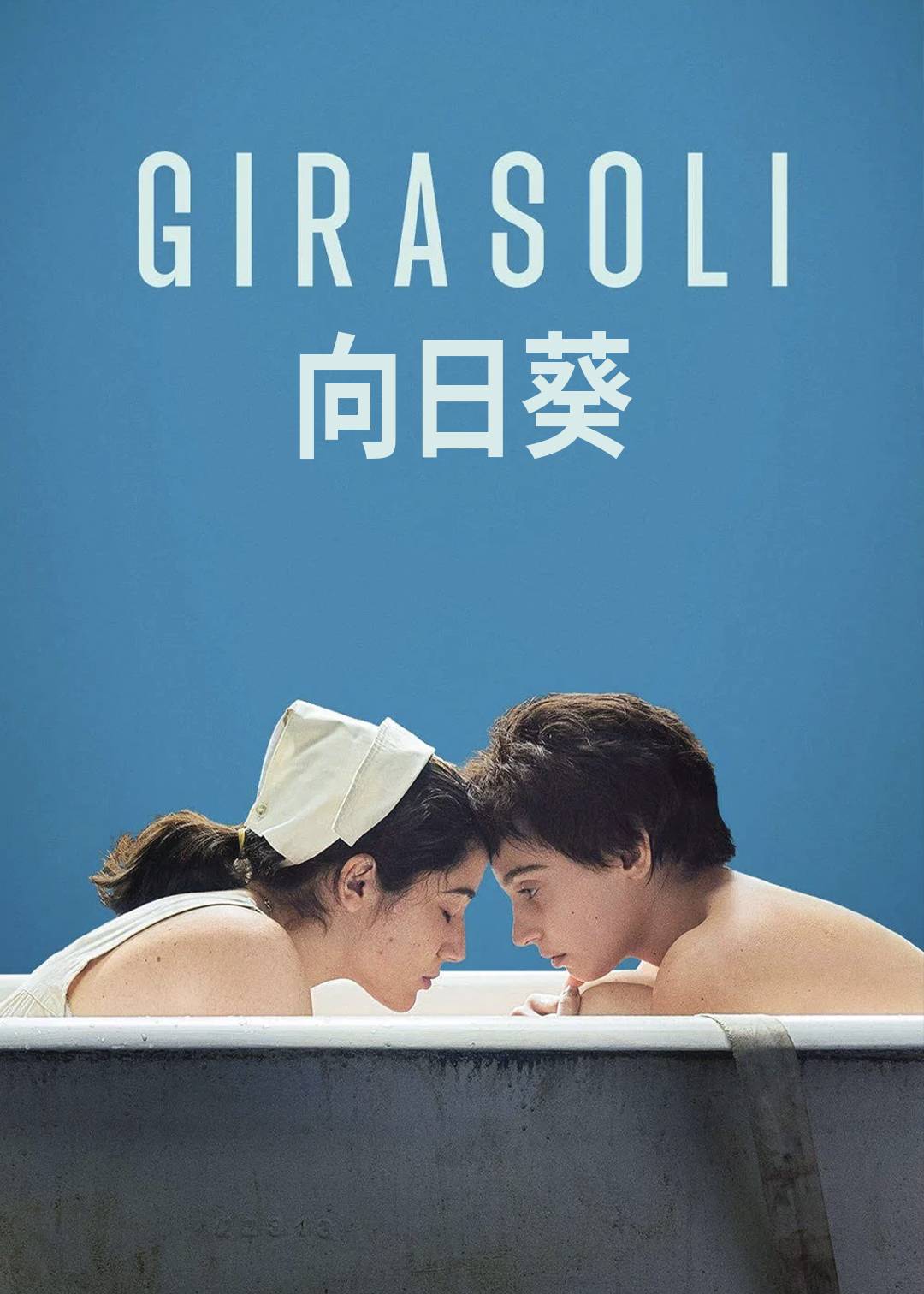 向日葵封面图