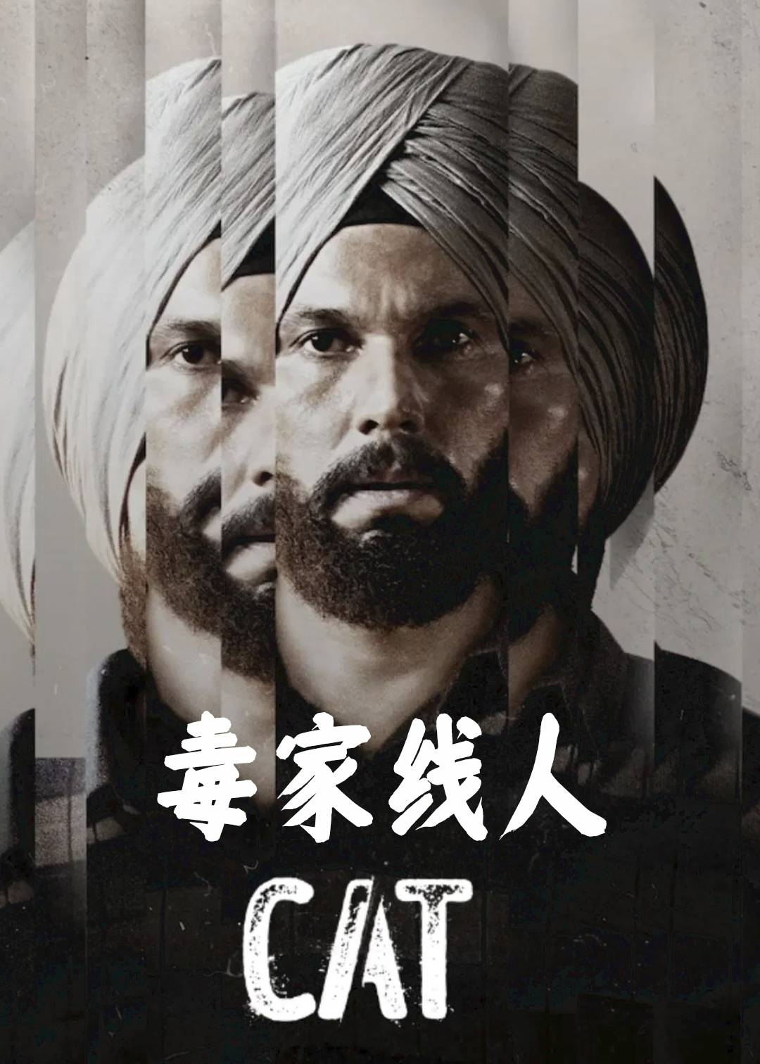 毒家线人封面图
