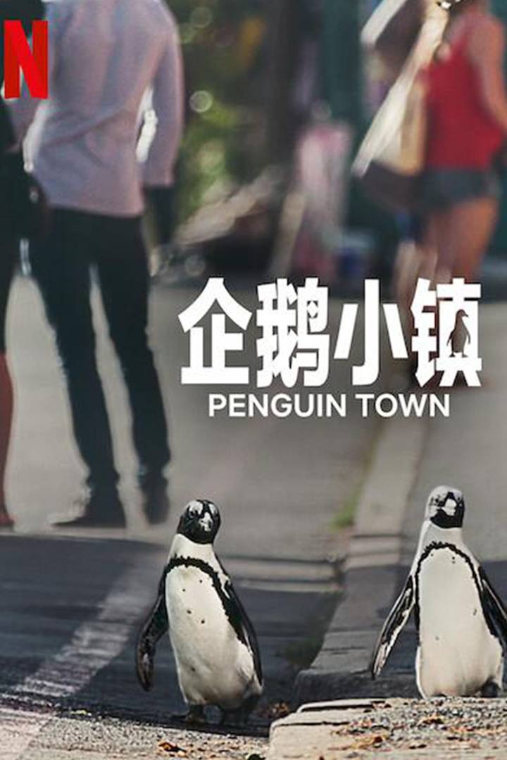 企鹅小镇封面图