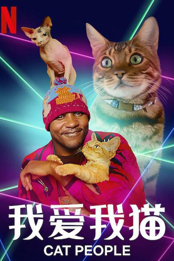 我爱我猫