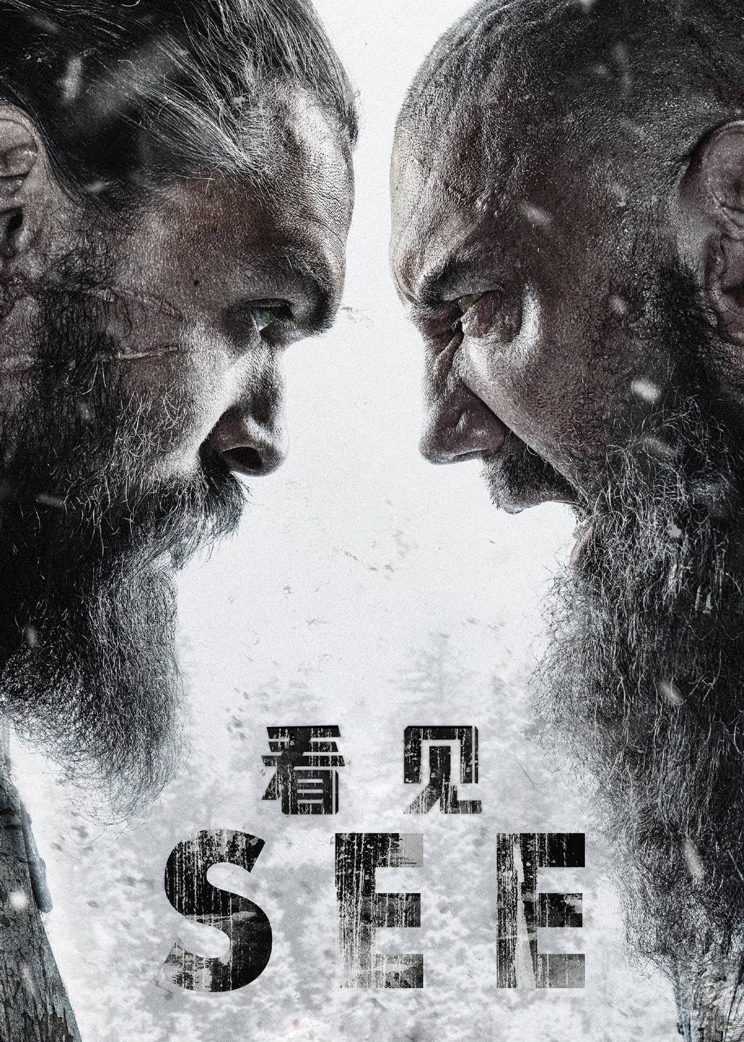 看见第二季