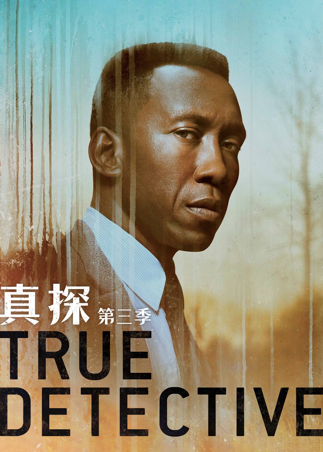 真探第三季
