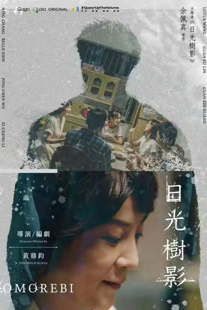 日光树影
