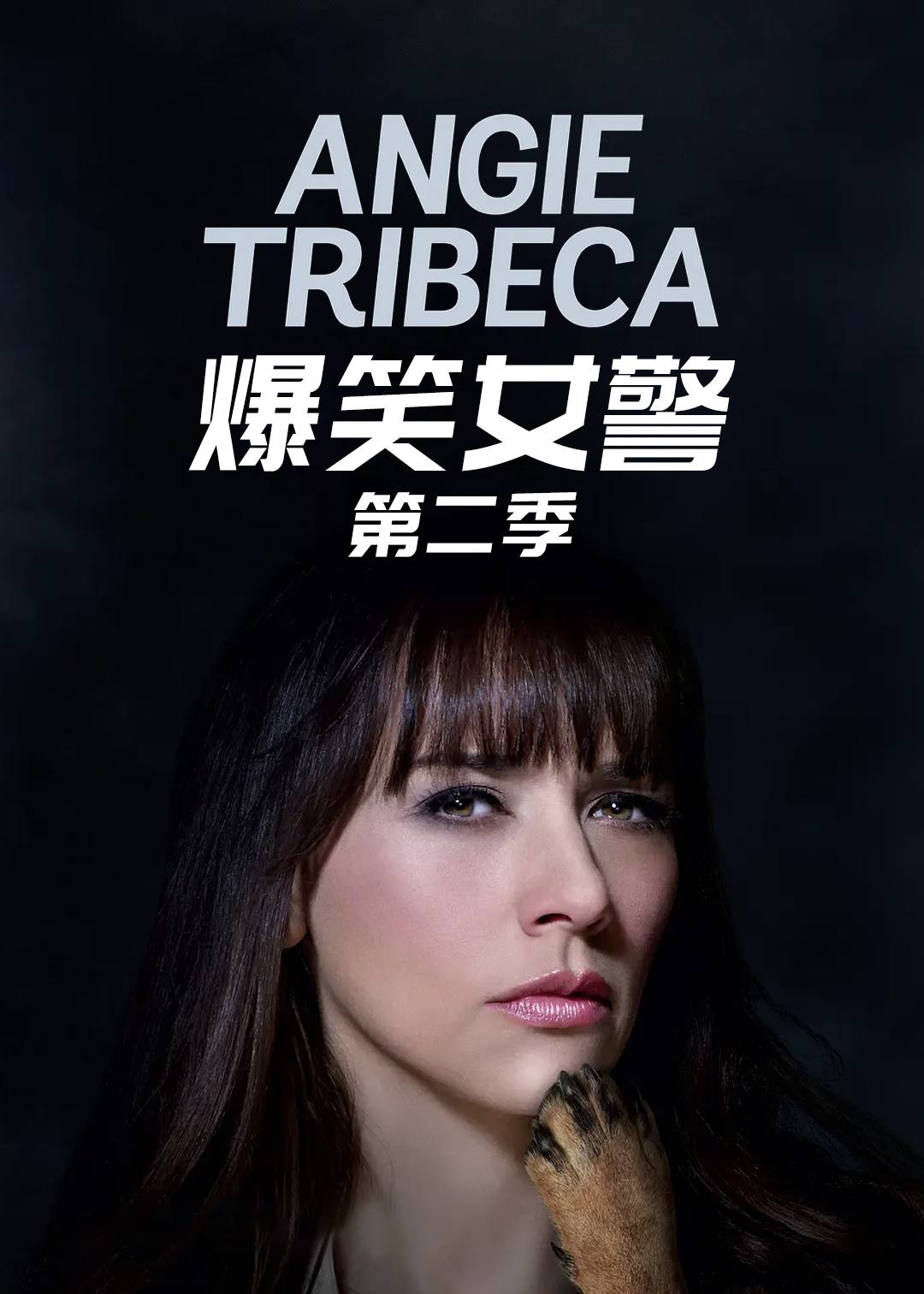 爆笑女警第二季